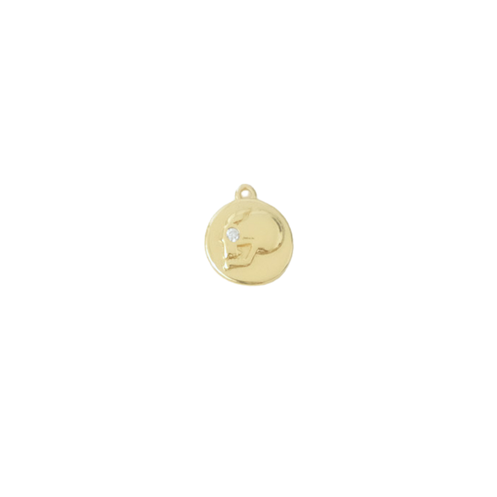 Skull Coin Charm
