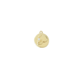 Skull Coin Charm