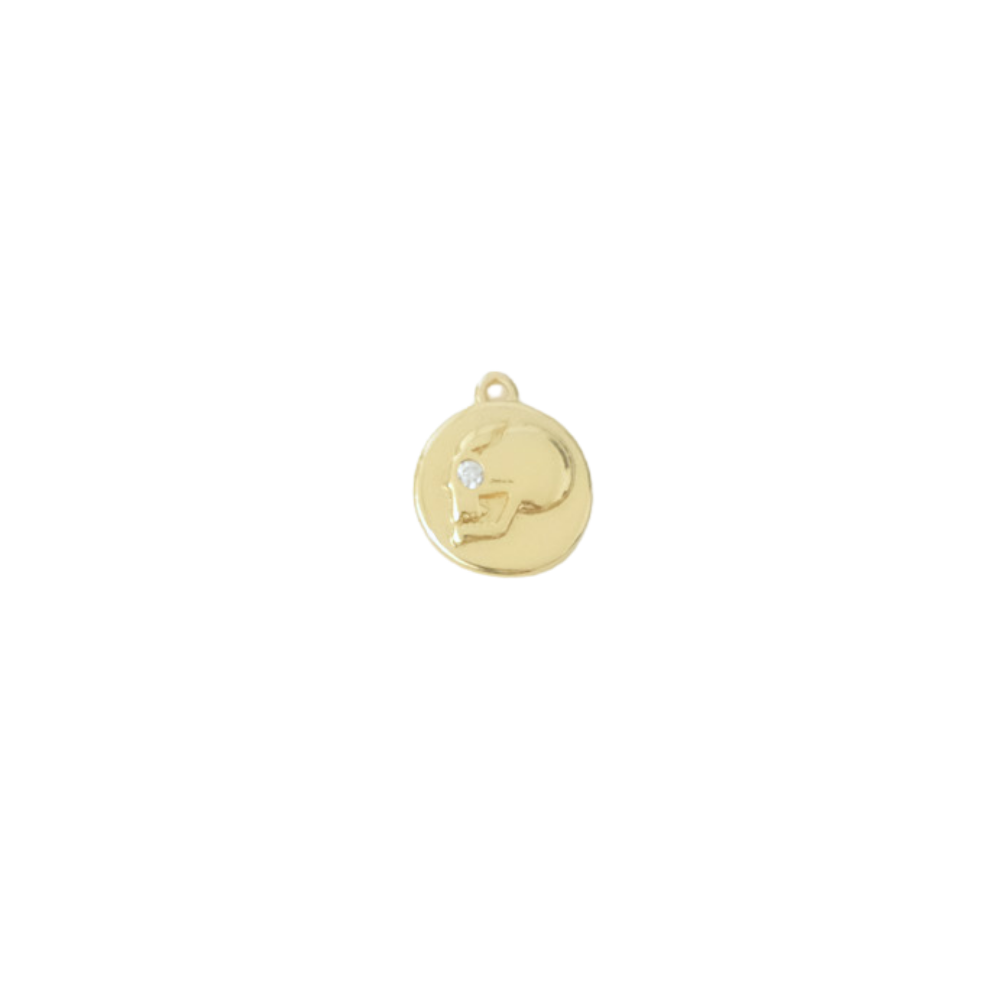 Skull Coin Charm