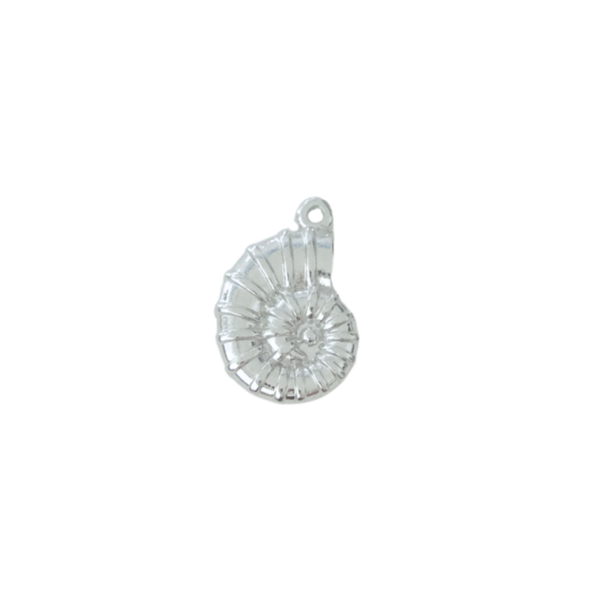 Spirula Shell Charm