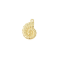 Spirula Shell Charm