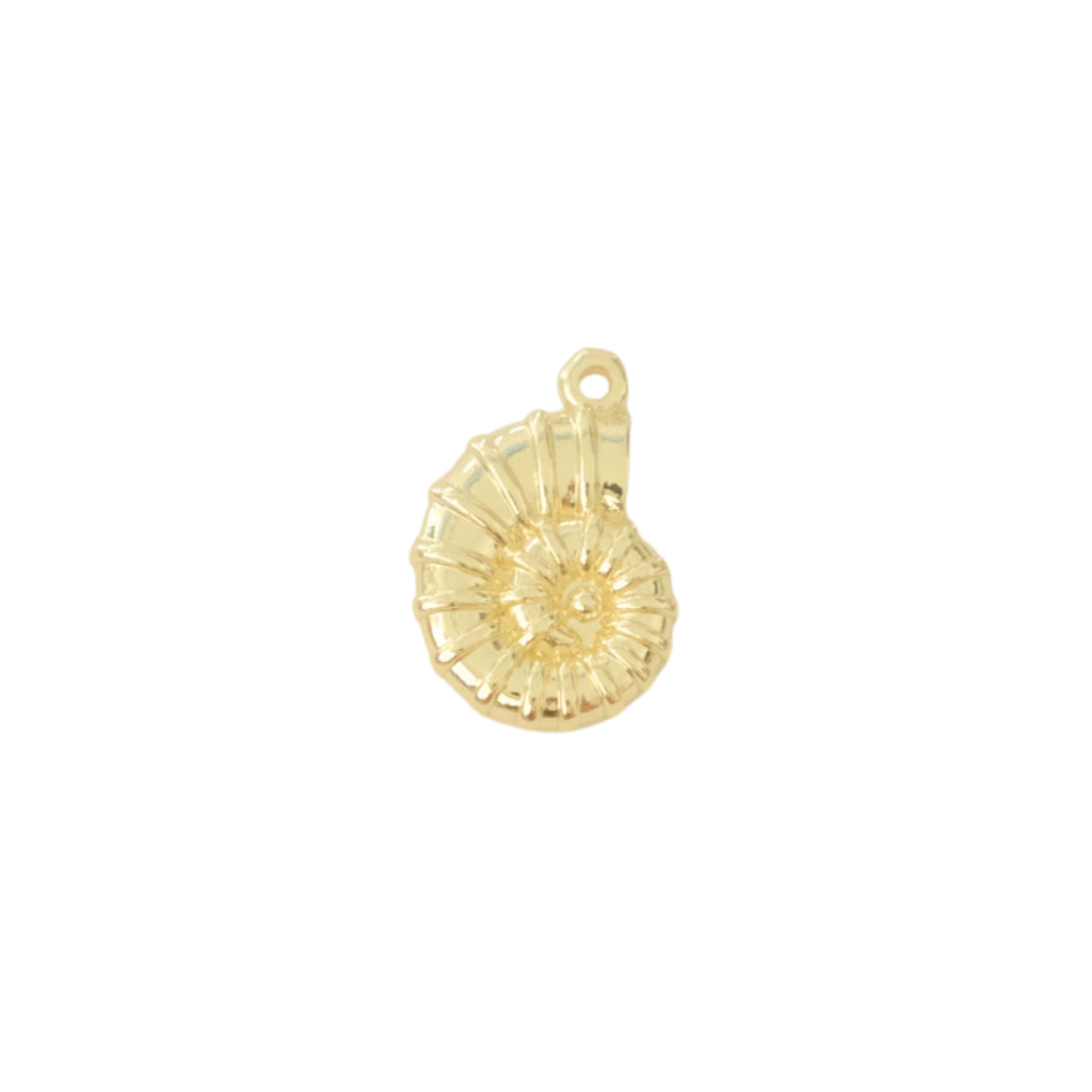 Spirula Shell Charm