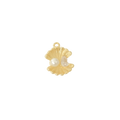 Treasure Seashell Charm