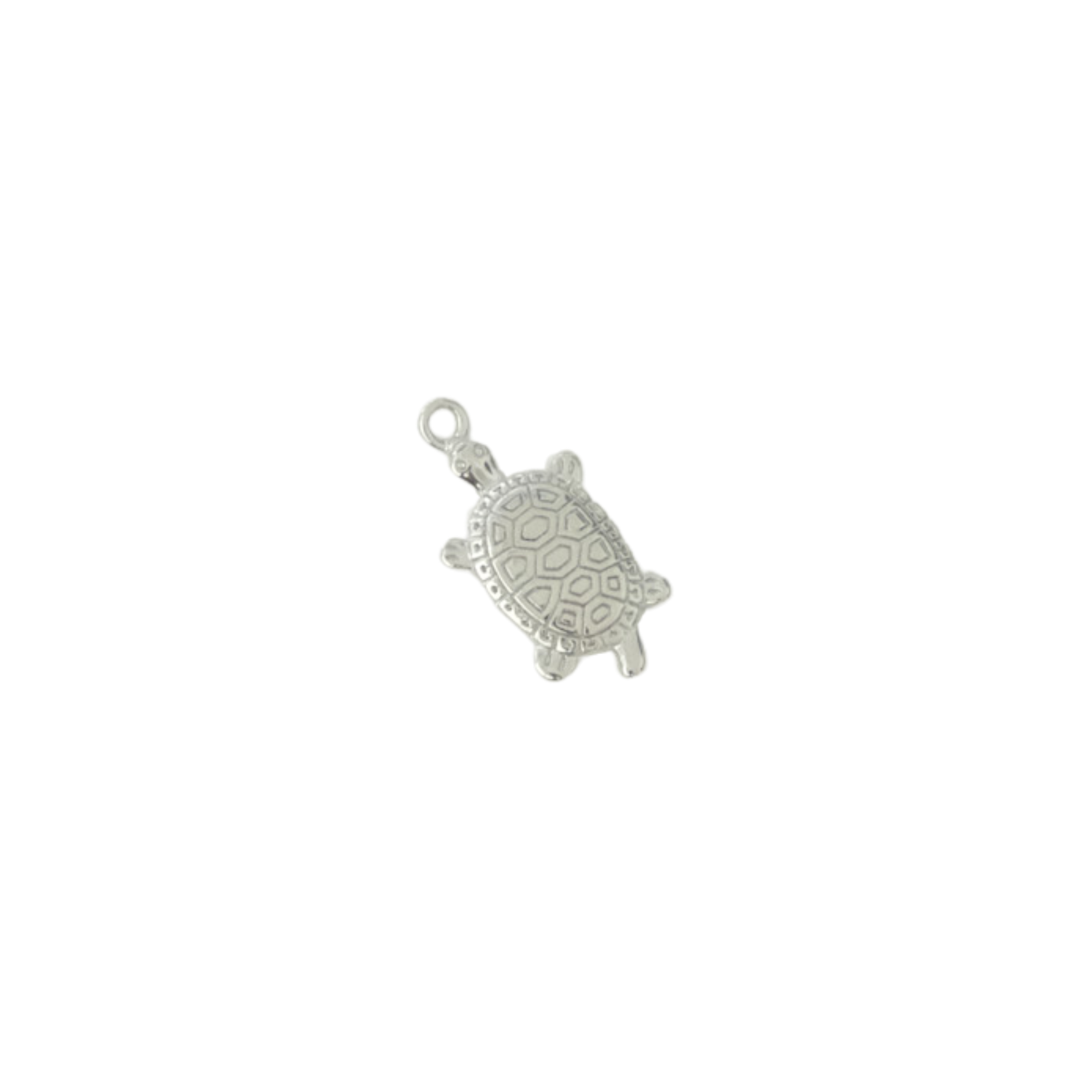 Turtle Charm