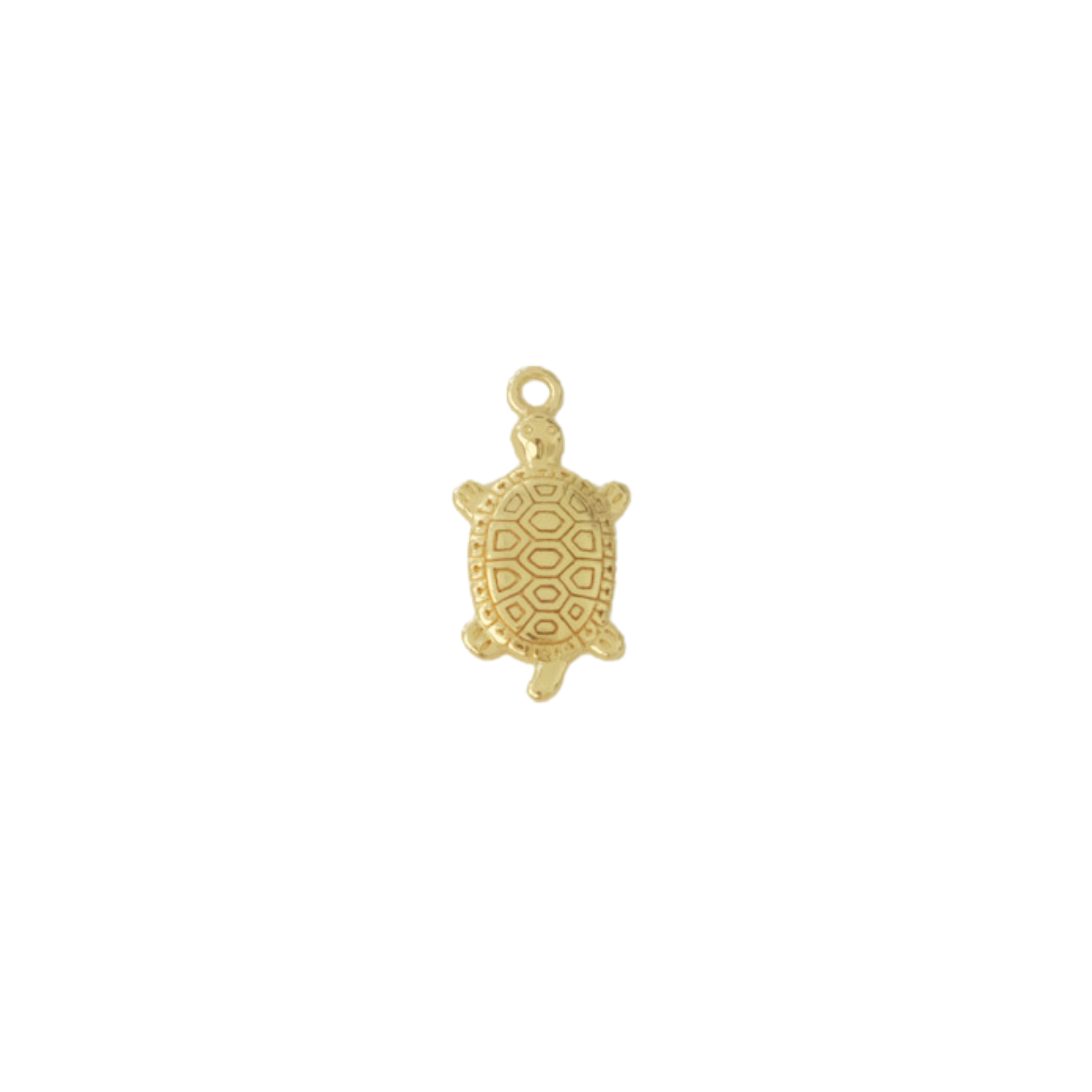 Turtle Charm