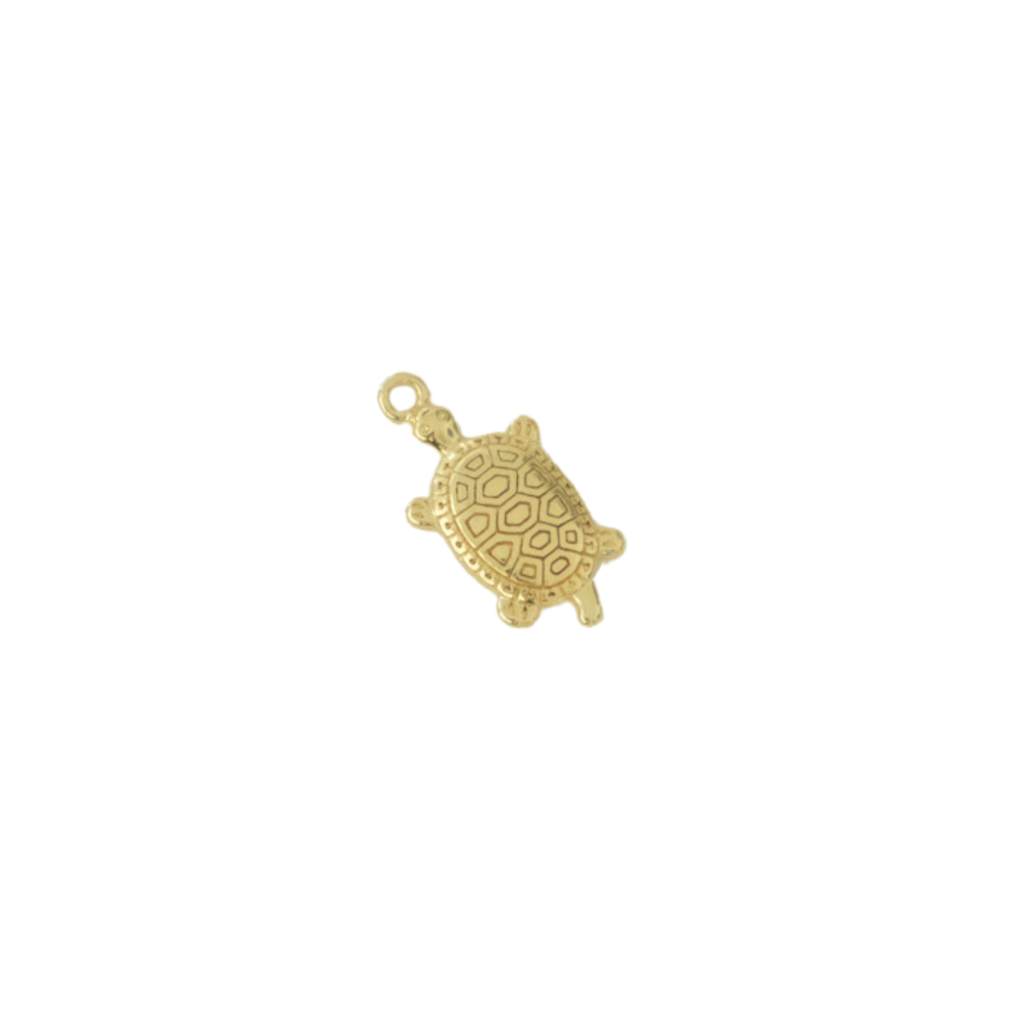 Turtle Charm