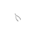 Wishbone Charm