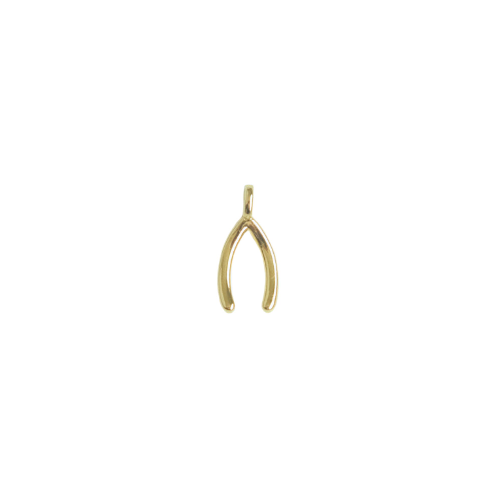 Wishbone Charm