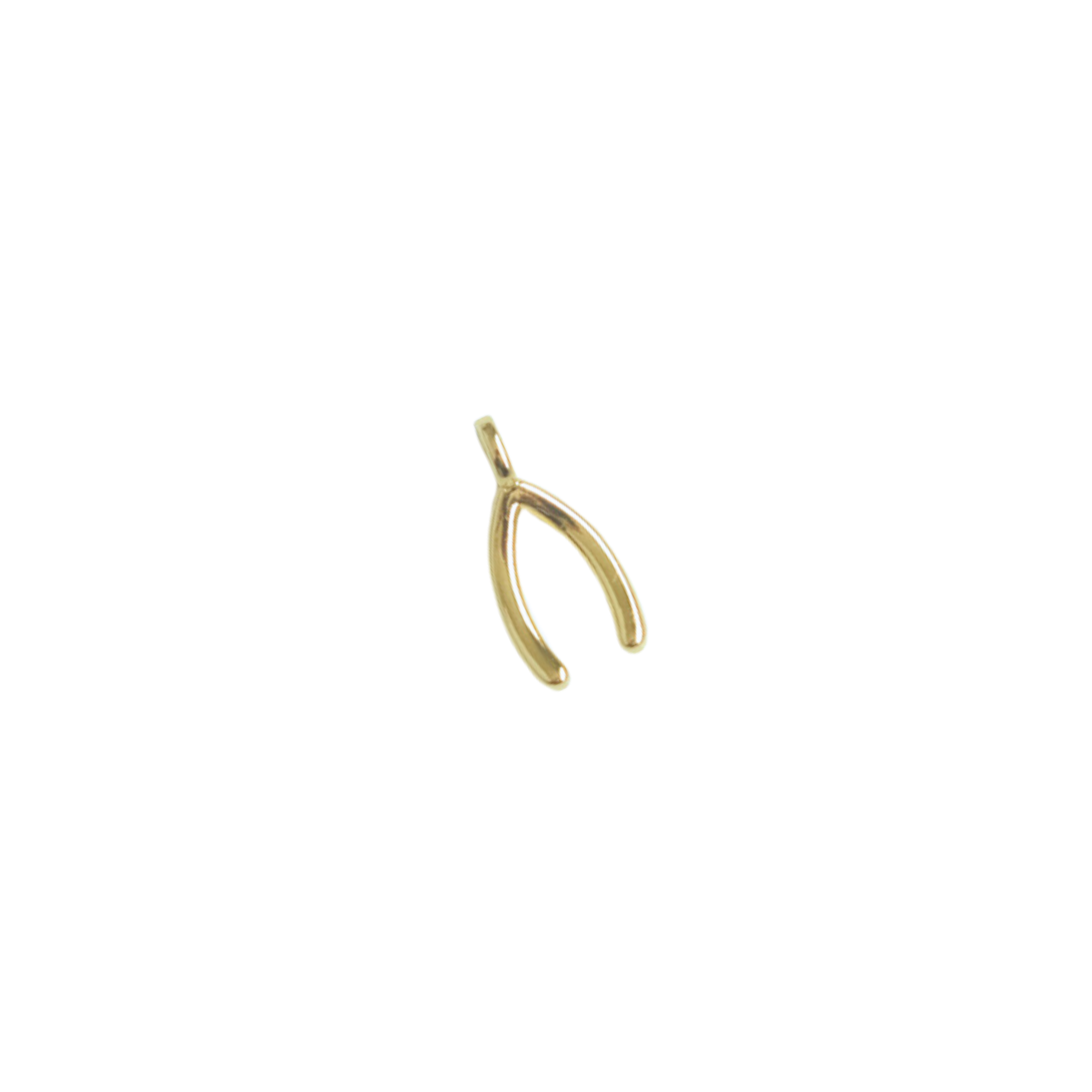 Wishbone Charm